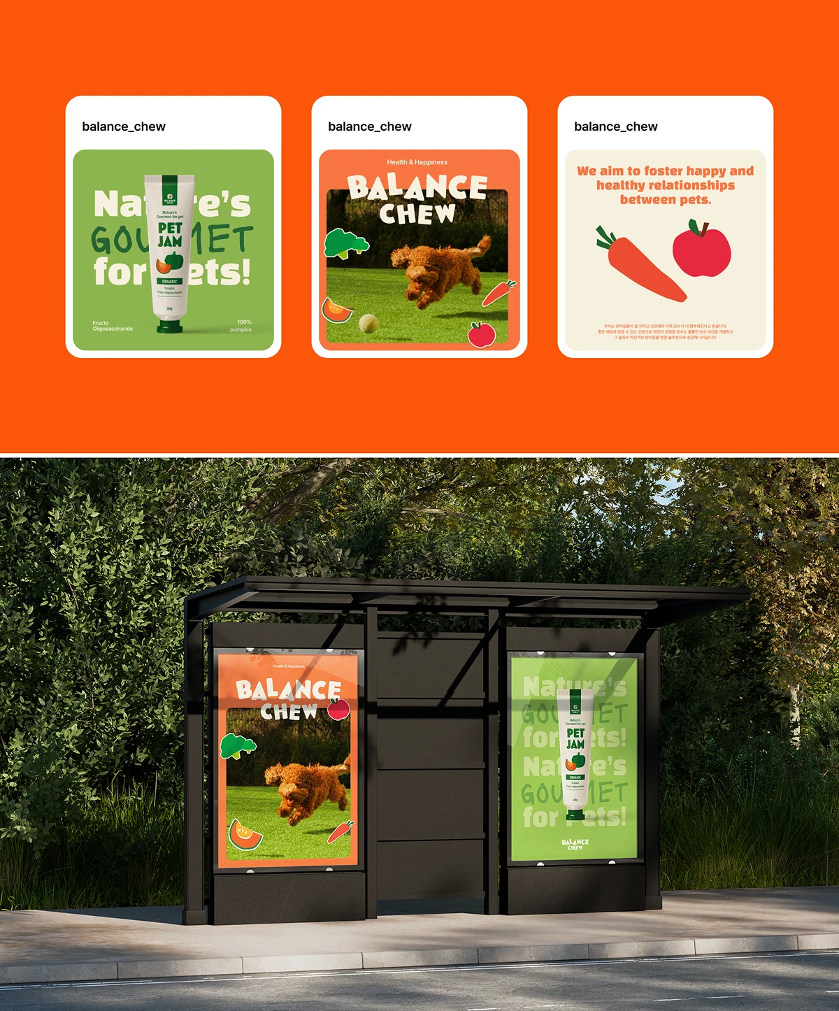 balance-chew-pet-food-brand-contents-design.webp