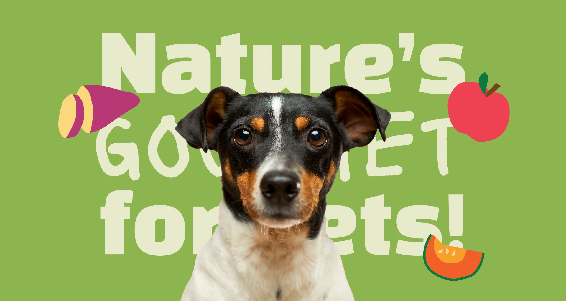 balance-chew-pet-food-brand-graphic-design.webp