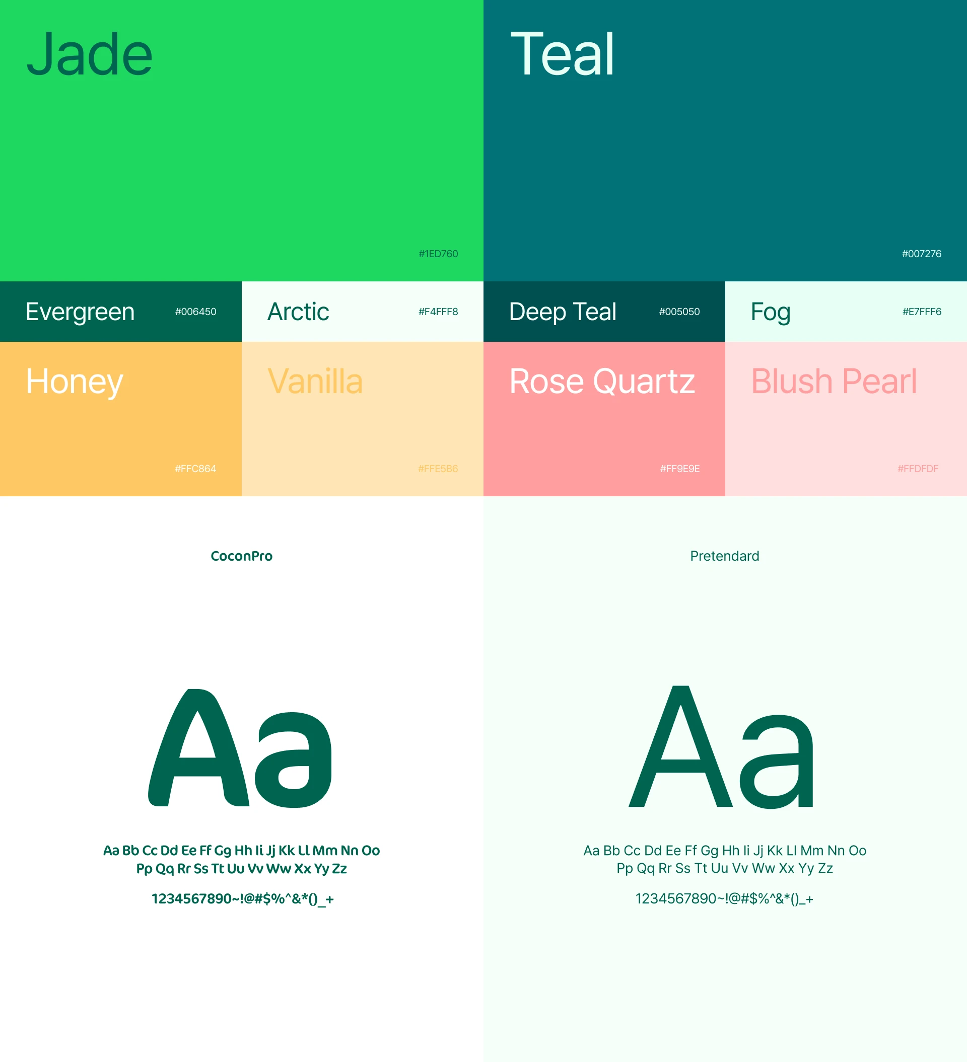 bereum-postbiotics-brand-color-typography--design.webp